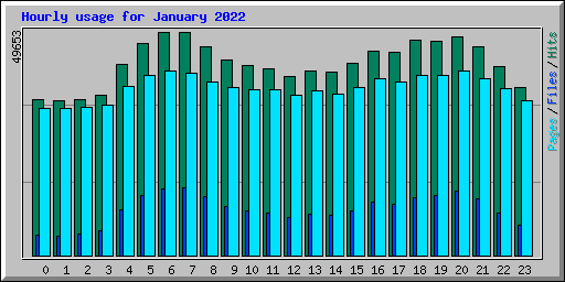 Hourly usage for January 2022