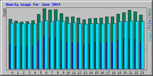 Hourly usage for June 2024